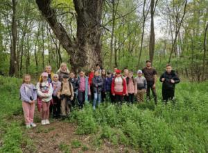 Fenntarthatósági témahét - ökoszisztéma